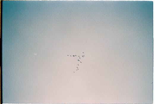 Migrating birds forming a pattern against a clear, blue sky captured on film.