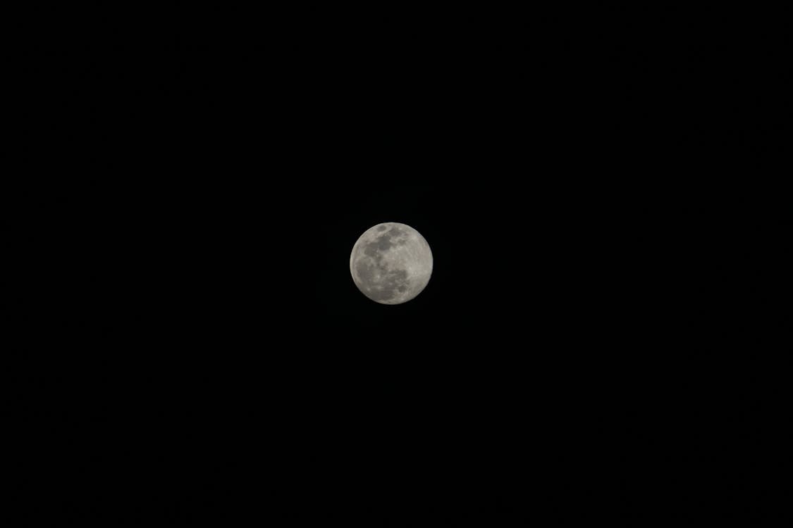 Free stock photo of full moon, moon, night city