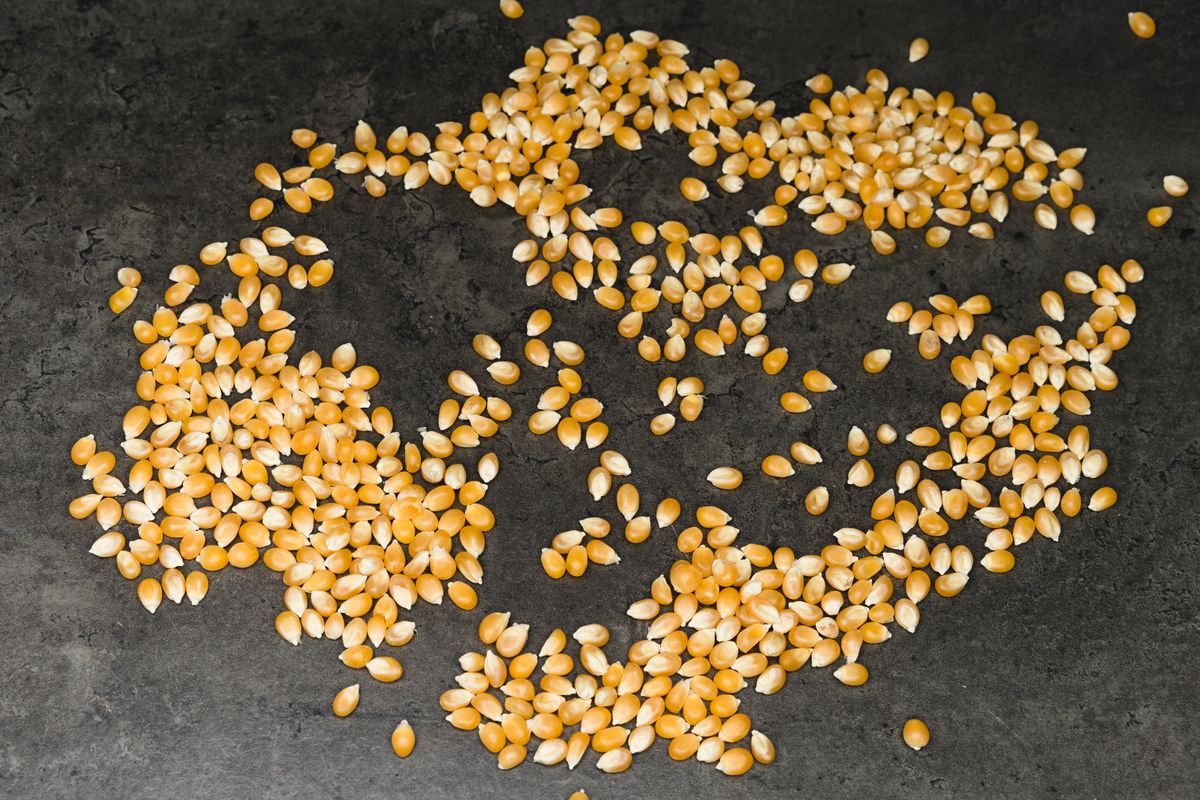 Yellow Corn