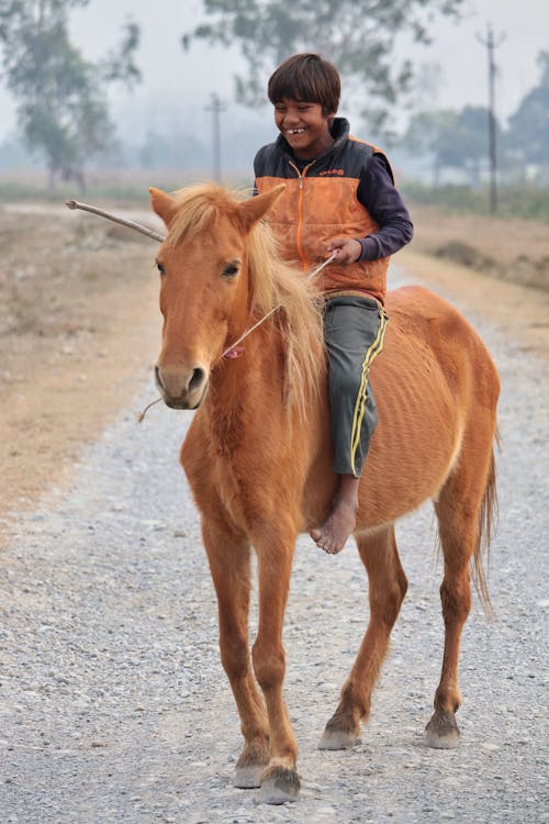 Positive jockey leading horse on roadway