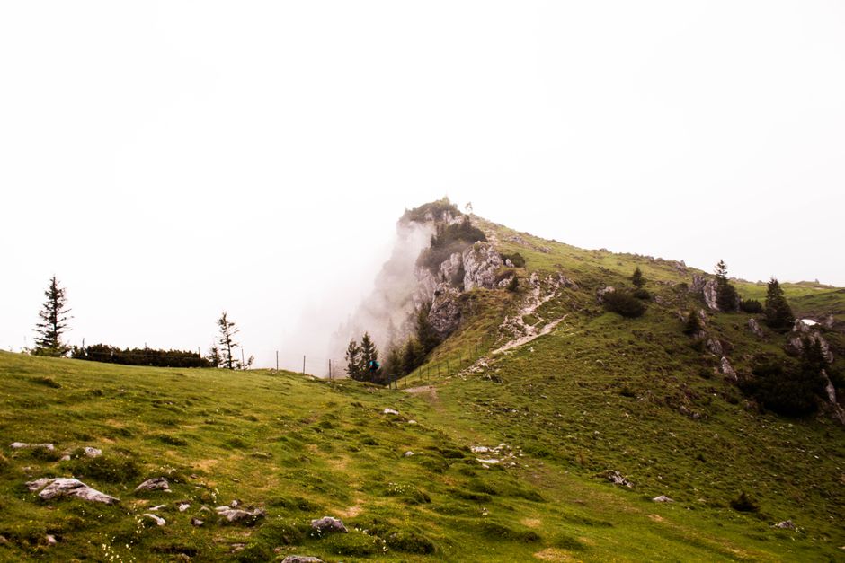 Foto de Velika Planina