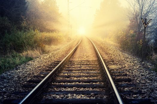 Railroad tracks and sleepers located in woodland with bright sun at distance in suburb