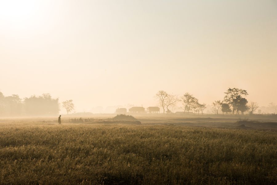 Majuli photo 8