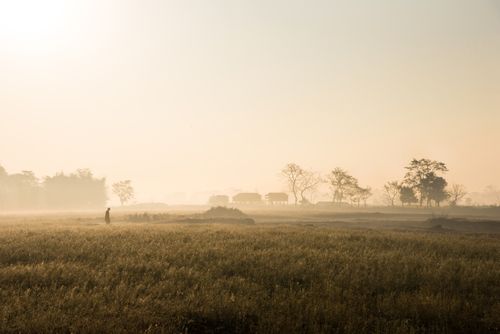 Free Peaceful sunrise view of a rural field in North Lakhimpur with a misty atmosphere. Stock Photo