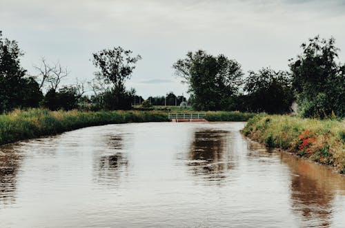 River dam near forest out of city