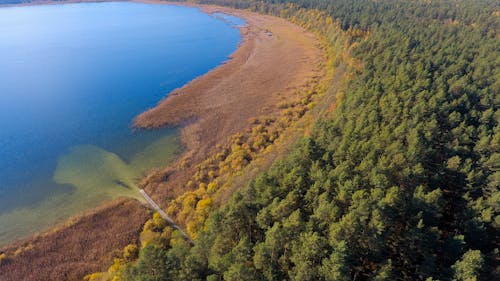 Gratis lagerfoto af blå sø, drone kamera, krater sø nationalpark