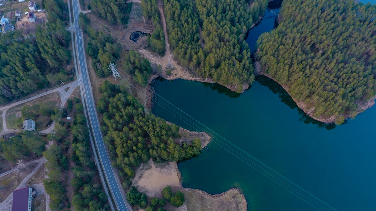 森林, 無人機相機, 立陶宛 的 免費圖庫相片