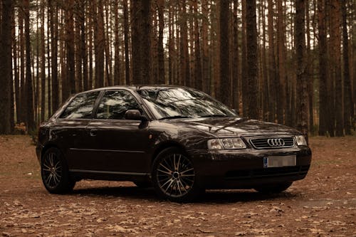 Free Photo Of Audi Parked On Dirt Road Stock Photo