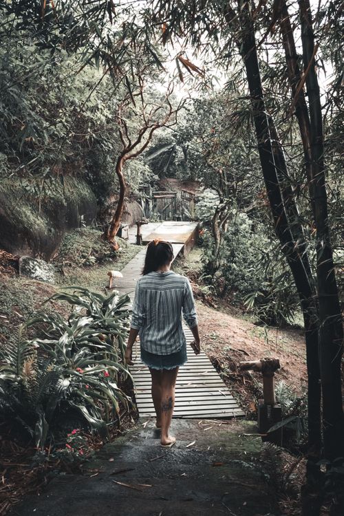 Free Woman walking on a wooden path surrounded by lush green forest in Brazil. Stock Photo
