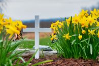 Christian cross surrounded by daffodils