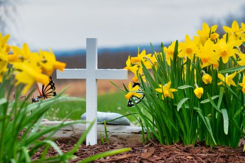 Free White Christian cross in graveyard surrounded by daffodils and artificial butterflies on blurred background Stock Photo