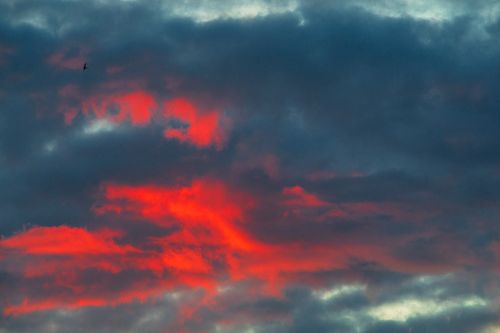 Free stock photo of beautiful sky, blue, dawn Stock Photo