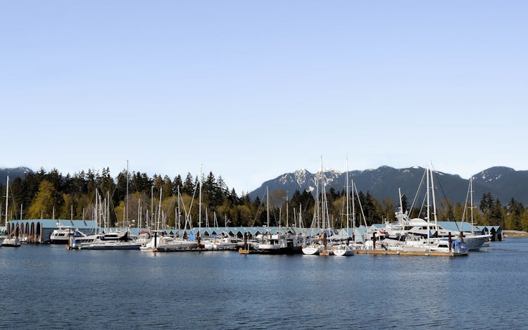 Speedboats Docked On A Port