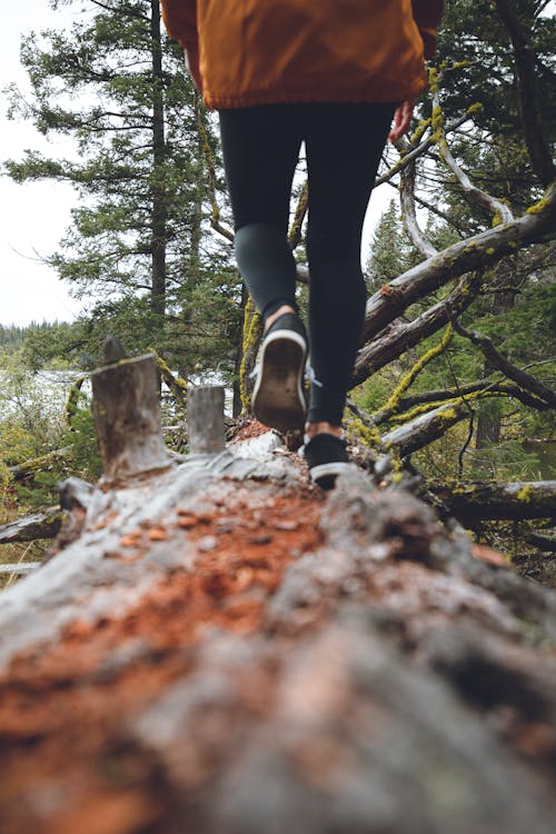 Person in Black Leggings Walking On A Tree Log