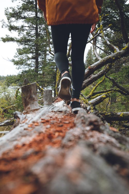 Free A woman walks on a moss-covered fallen tree in a forest setting, showcasing adventure and nature exploration. Stock Photo