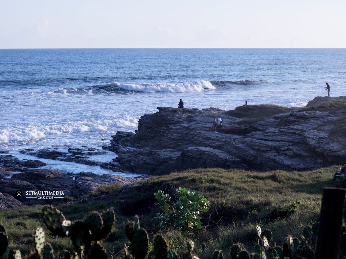A rustic bowl of lentil and vegetable stew with herbs on top