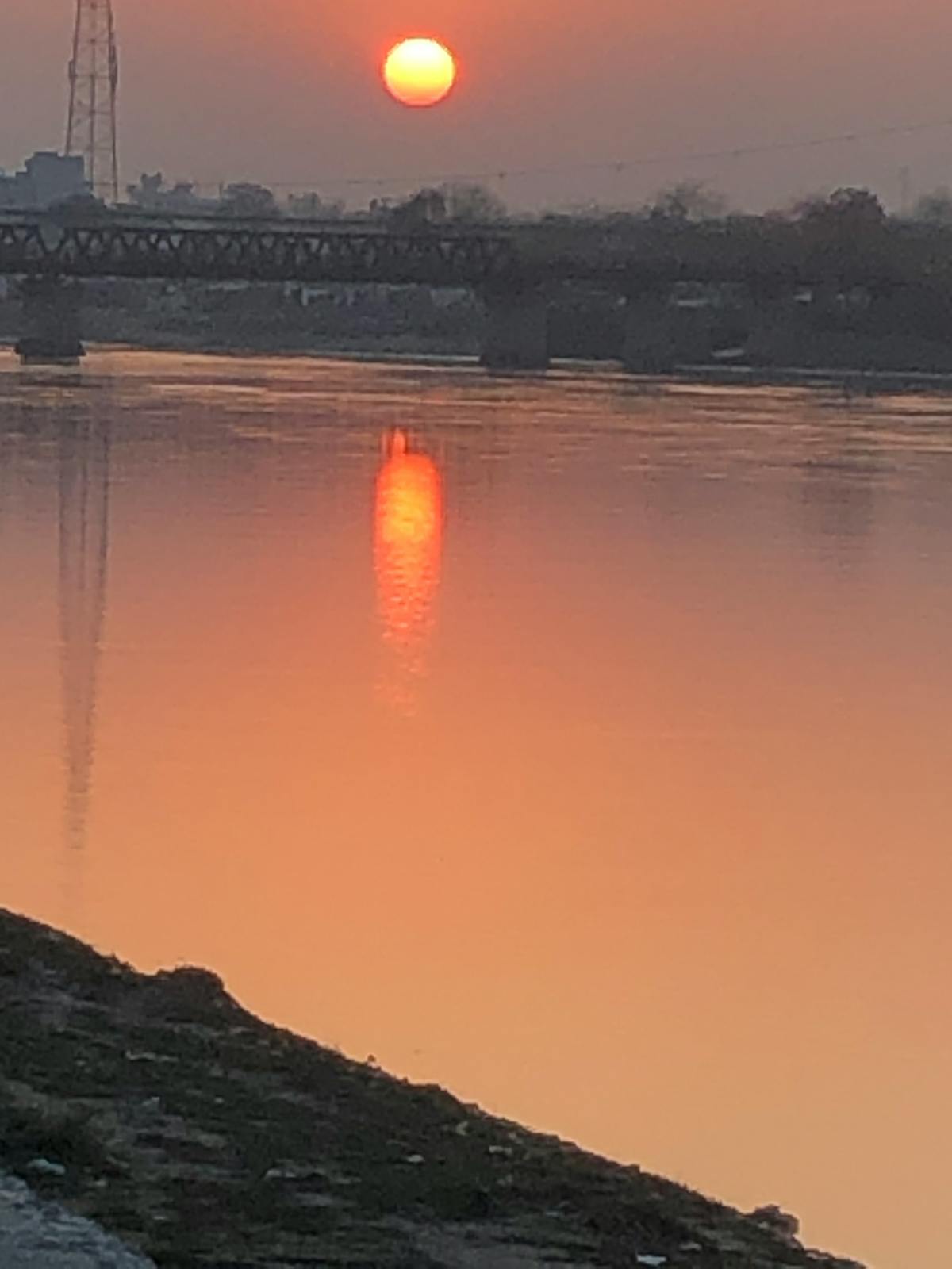 Chopped carrots, onions, and celery prepared on a cutting board next to a cooking pot