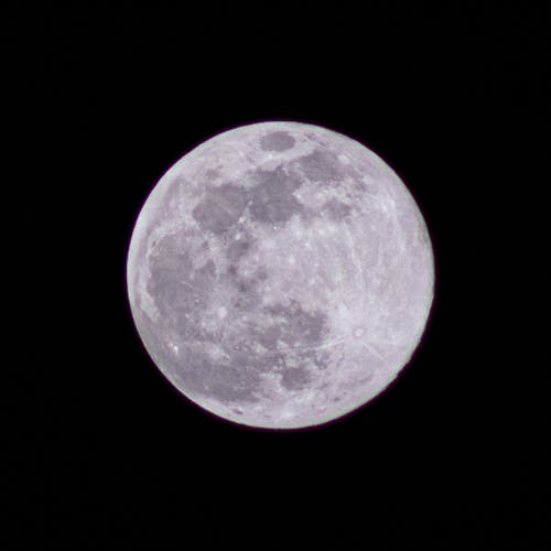 Free Round full moon in black sky in twilight Stock Photo