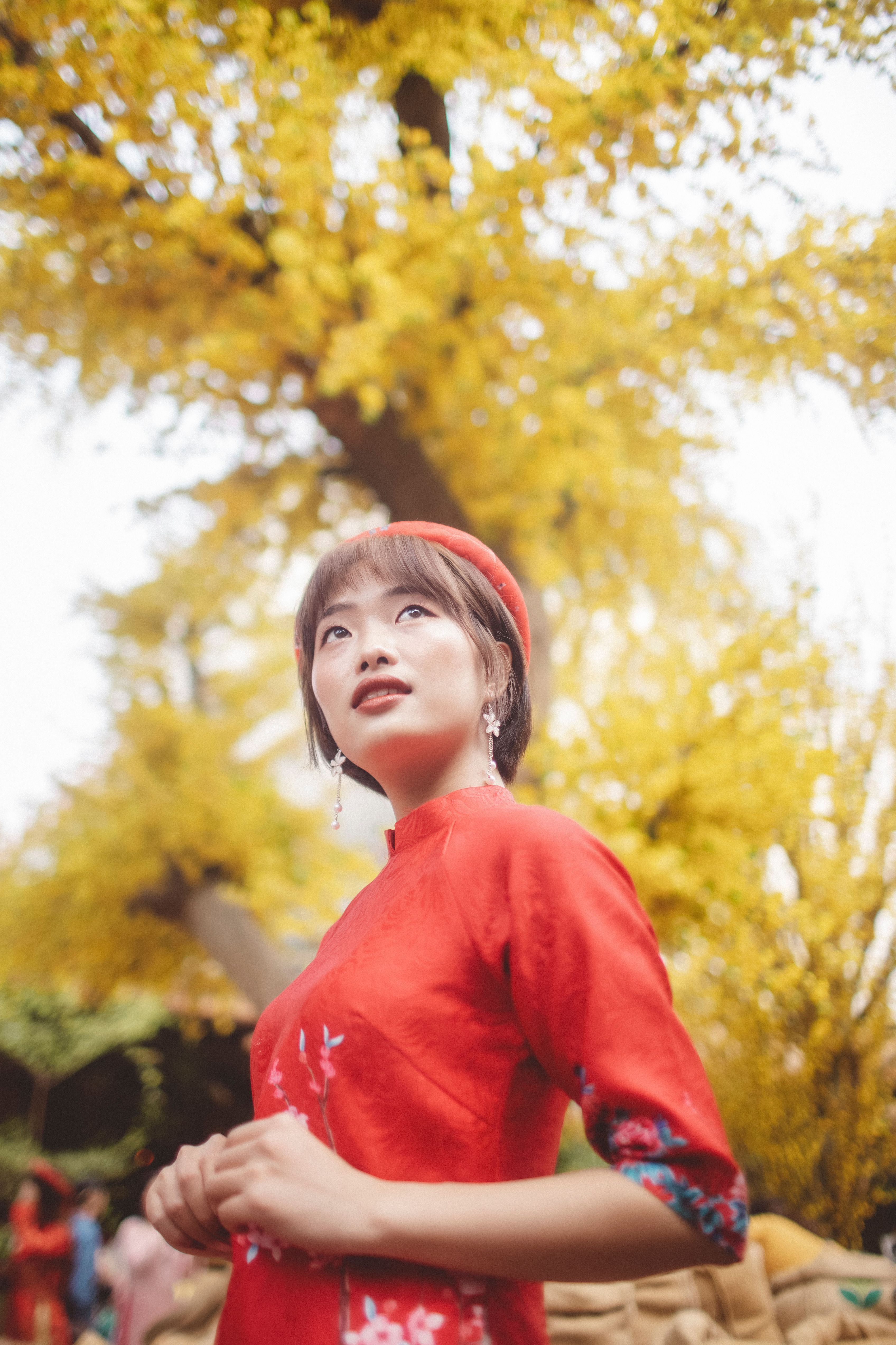 Low-Angle Shot of a Pretty Woman in Red Traditional Dress · Free Stock ...