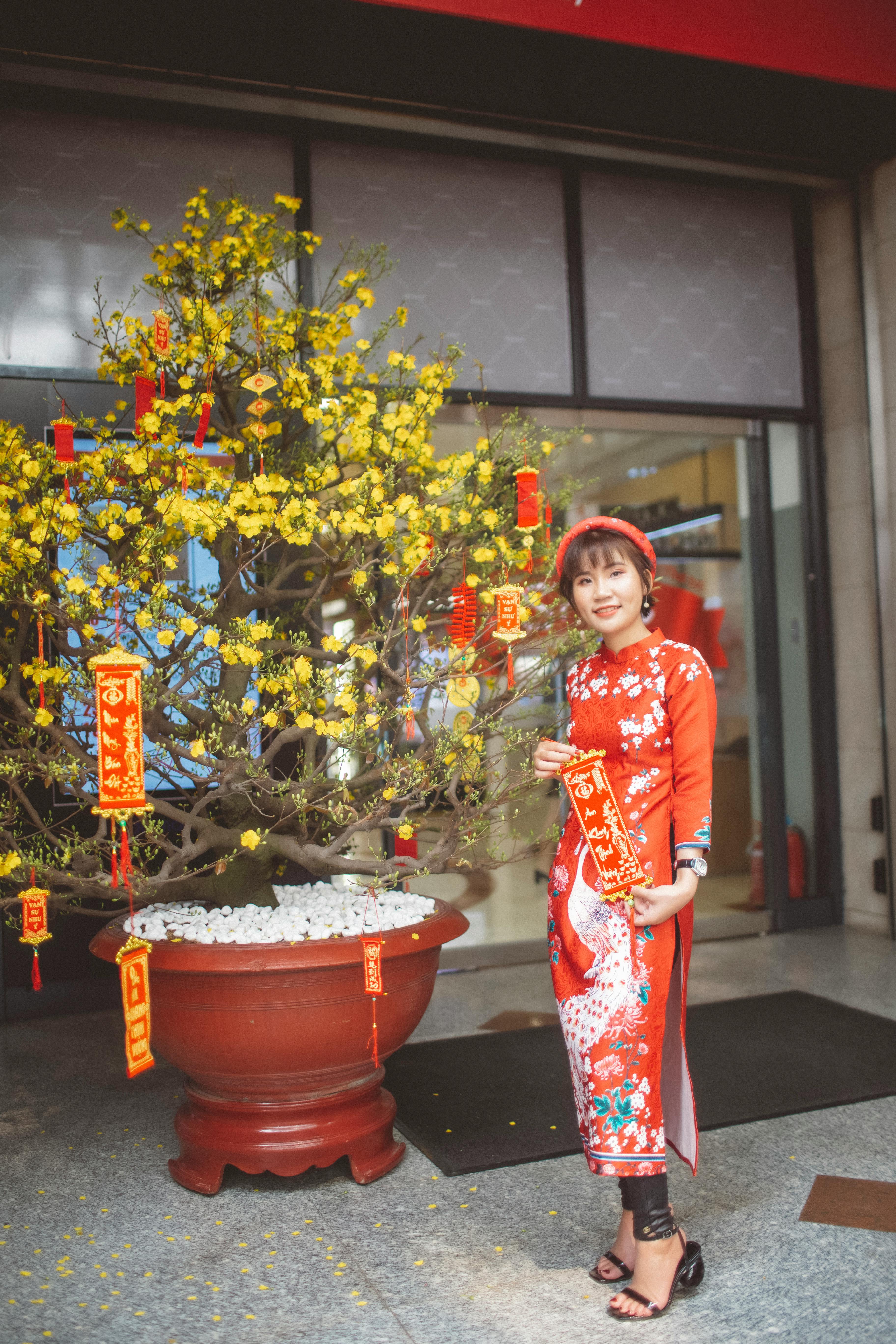 亚洲妇女戴着澳戴，用黄色花朵和红色装饰庆祝农历新年