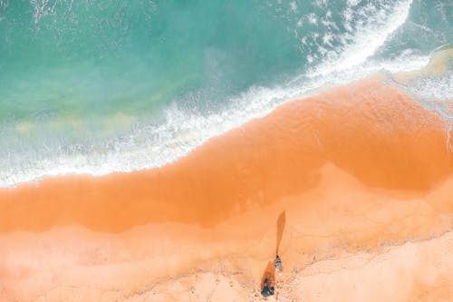 Shining ocean water near bright sandy shore with faceless tourists