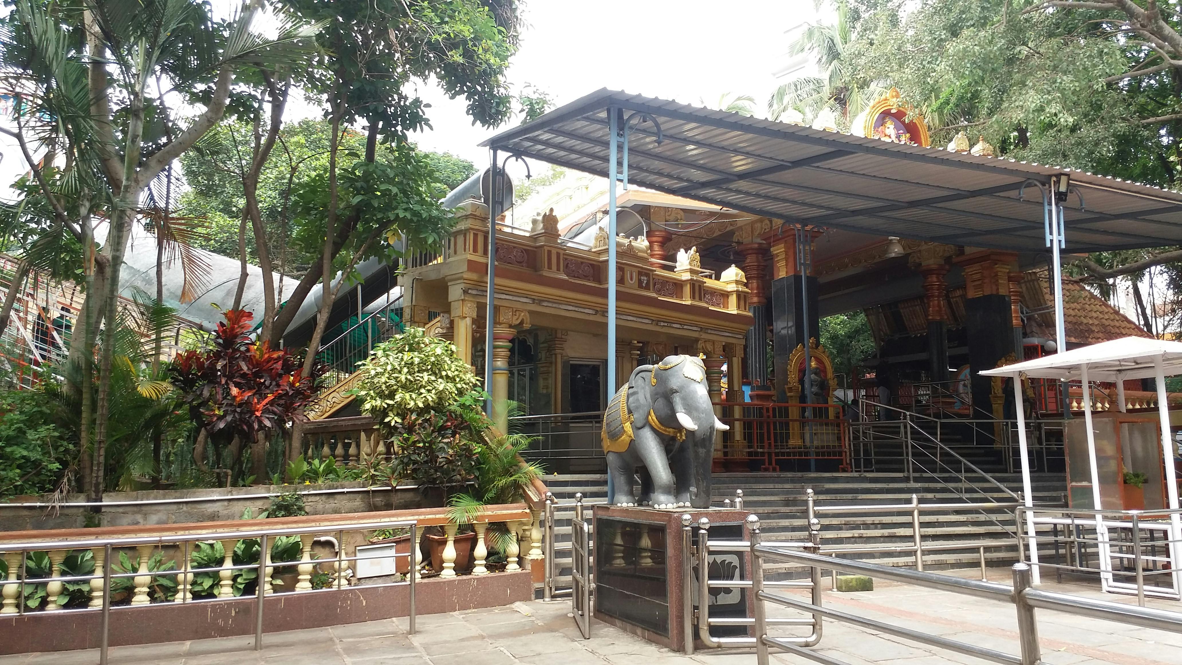 Users sharing feedback during a video call.