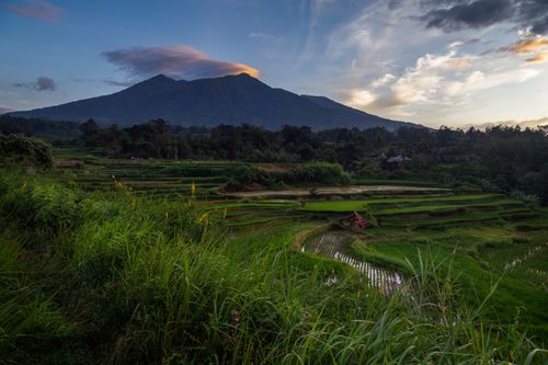 Free Stunning view of rice terraces and mountains in West Sumatra, Indonesia at sunrise. Stock Photo