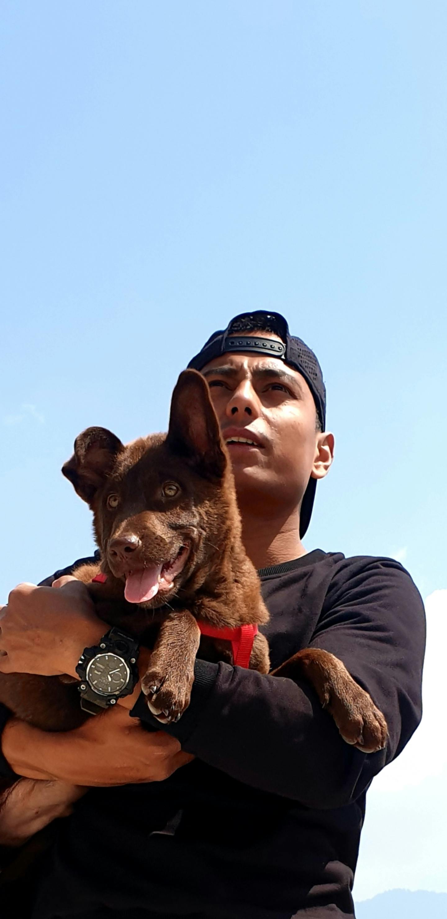 Accompagnements gourmands