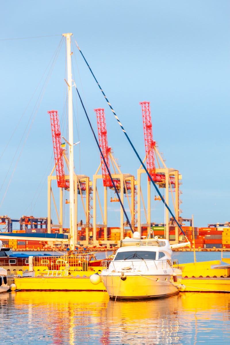 Cartons of frozen chicken parts