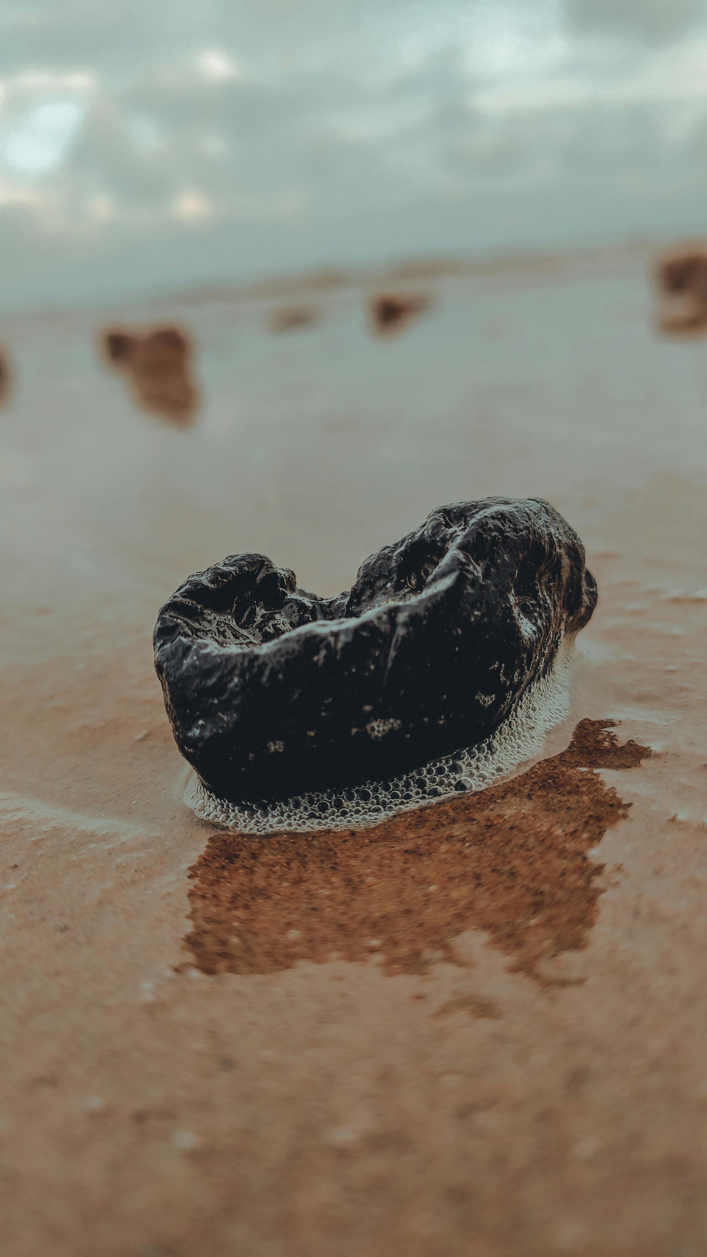 Serviços Domésticos