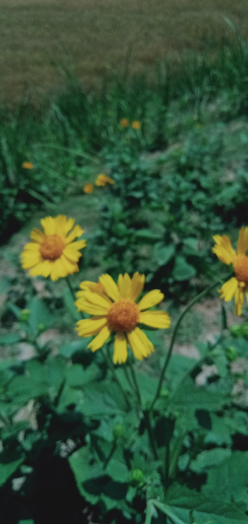 Ванна бөлмесін тазалау