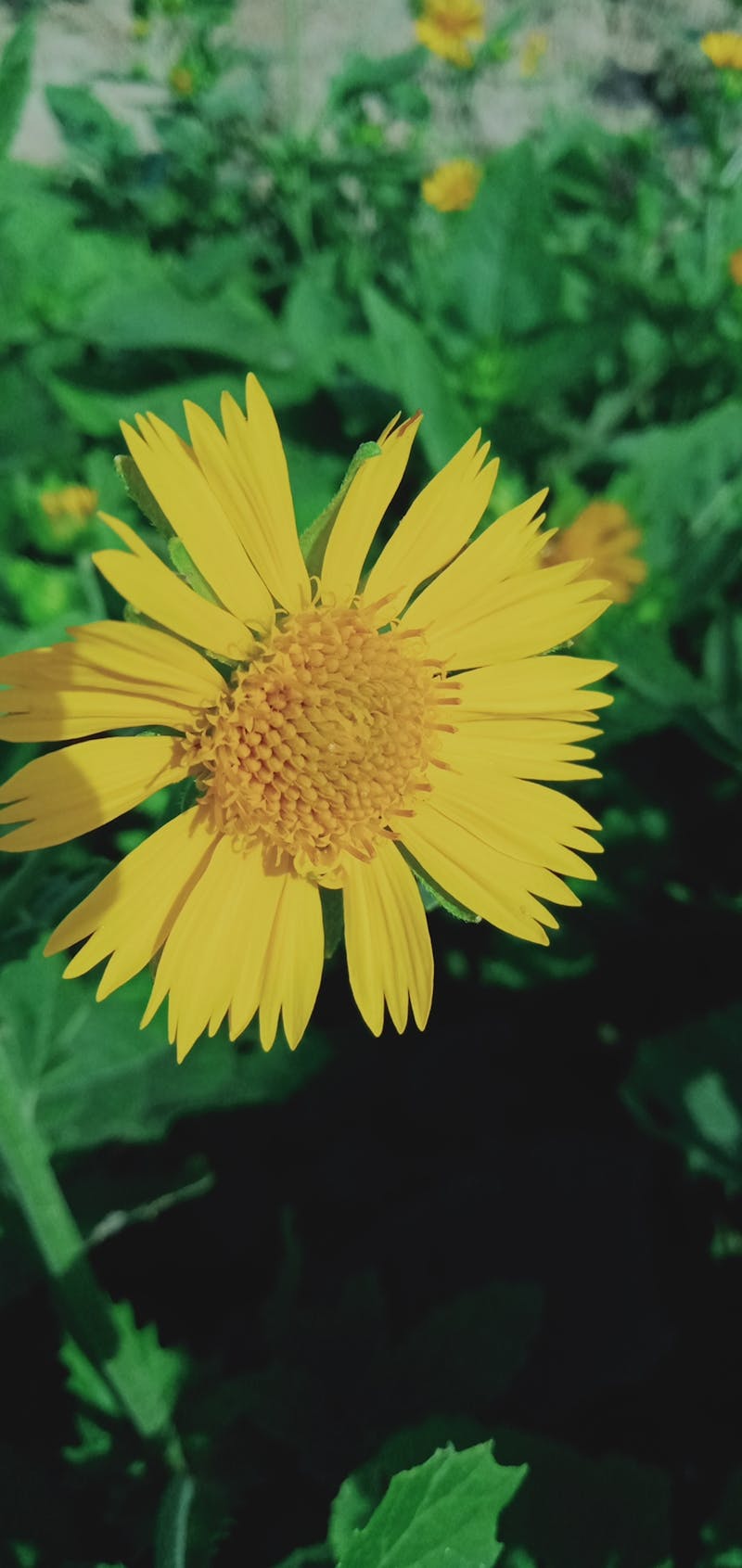 Ас үй шкафтарын тазалау