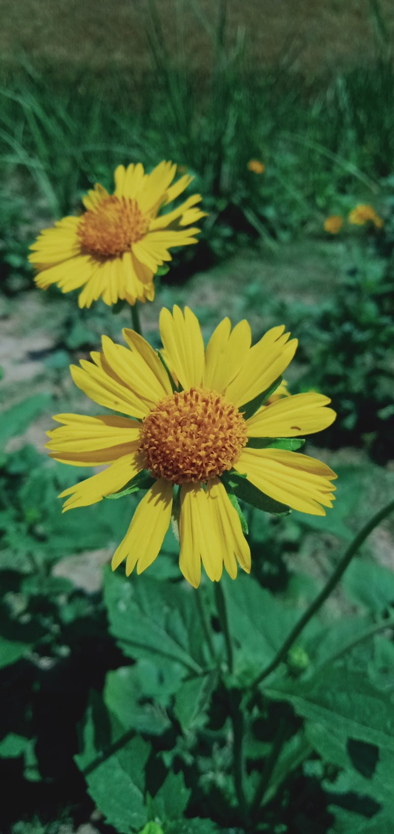 Büro temizliği ilanı için temsili görsel