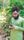 ইসলামিক ভিডিও