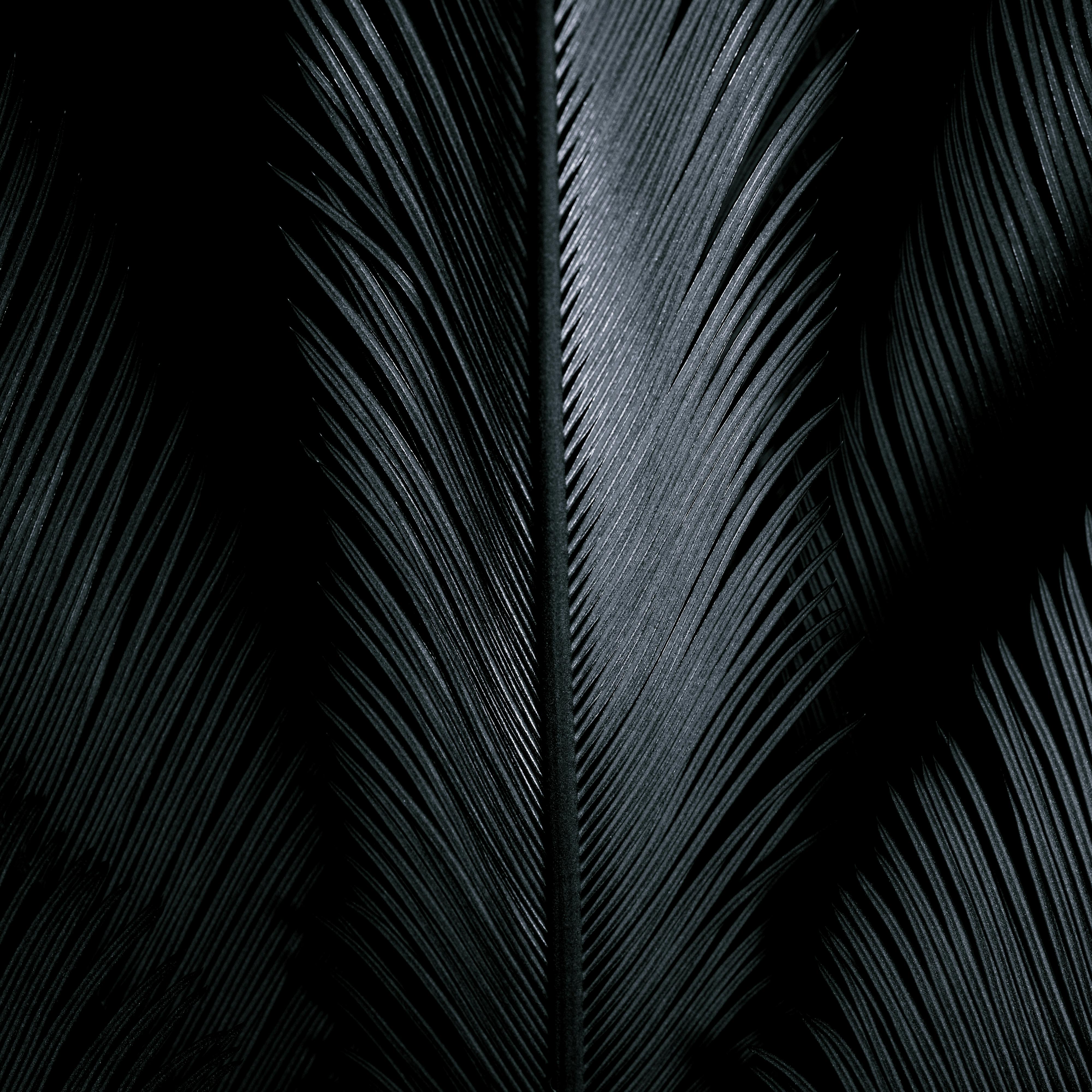 Drops Texture Dark Shine Black 4k Wallpaper