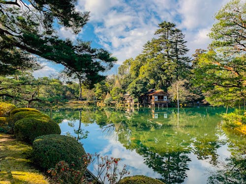 Magnificent scenery of remote cottage on calm pond shore