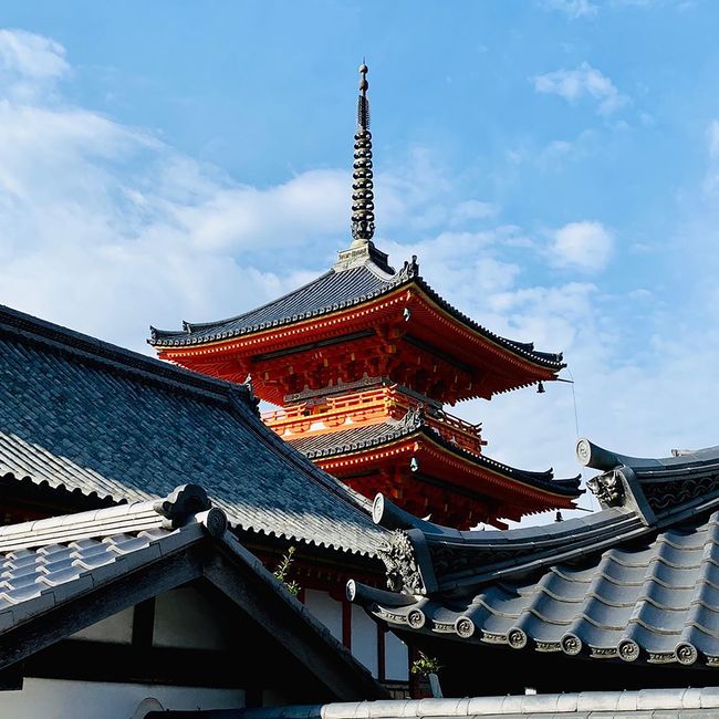 Menjelajahi Kuil dan Makam Megah: Toshogu Shrine Menjelajahi Kuil dan Makam Megah: Toshogu Shrine