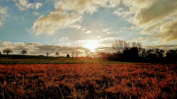 Free stock photo of dawn, landscape, nature, sunset