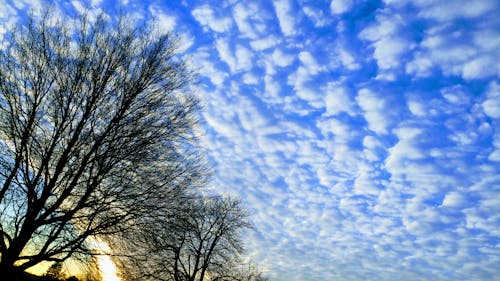 景觀, 雲 的 免費圖庫相片