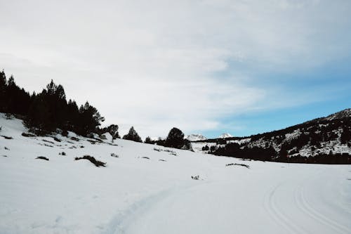 Free stock photo of landscape, nature, spain