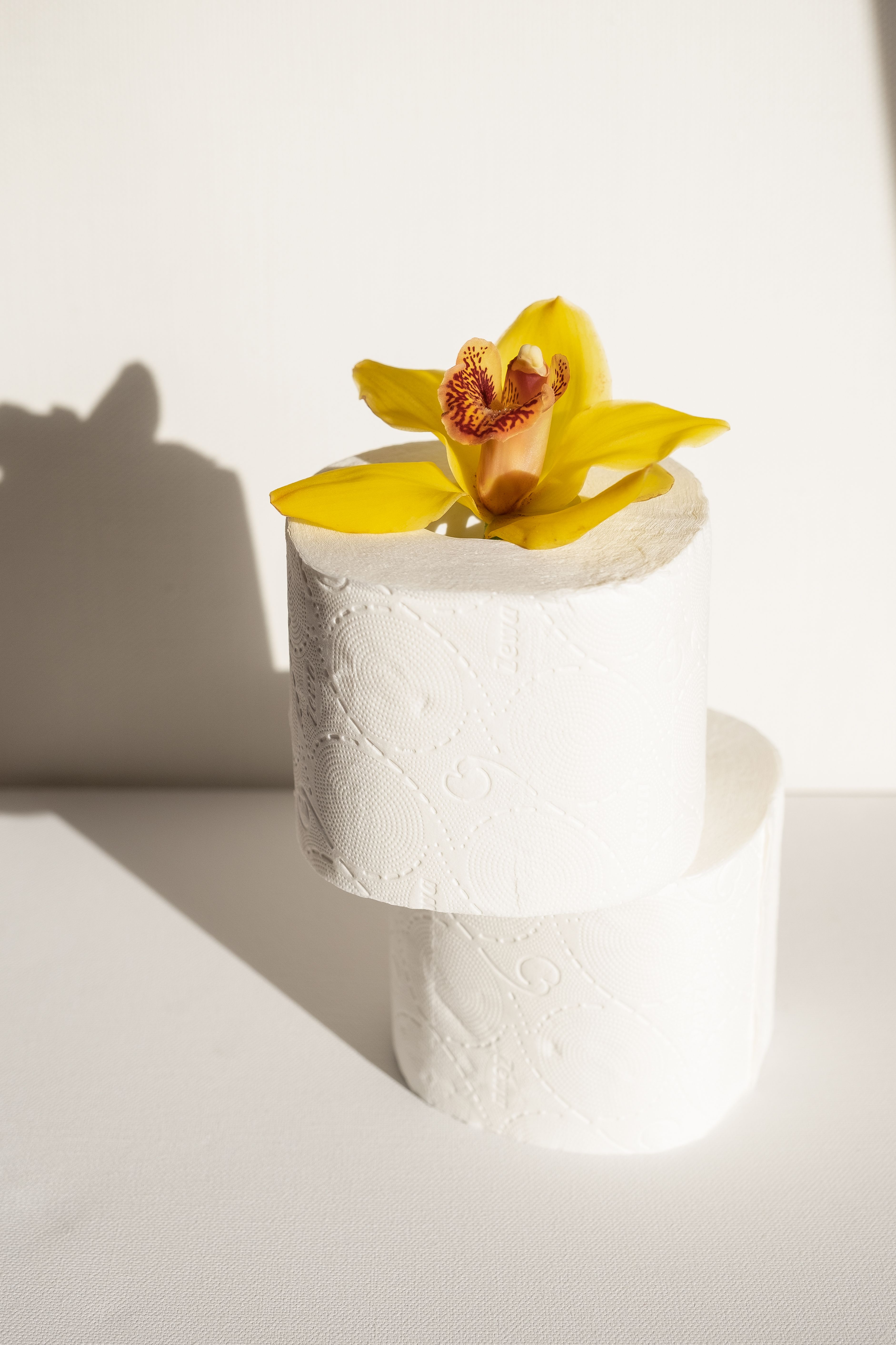 Papel Higiênico (12 rolos)