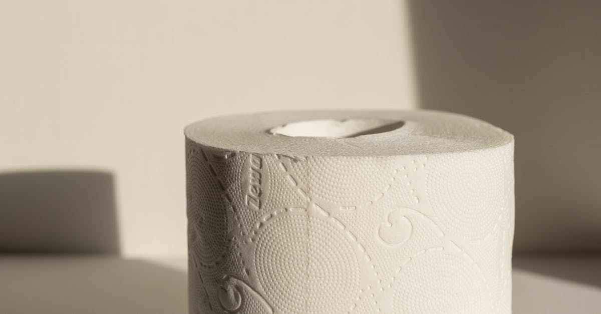 Close-Up Shot of a Tissue Paper Roll on a White Surface · Free Stock Photo