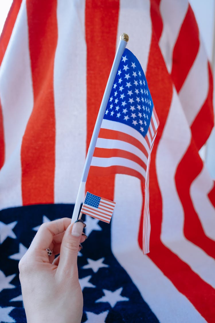 Hand Holding American Flags