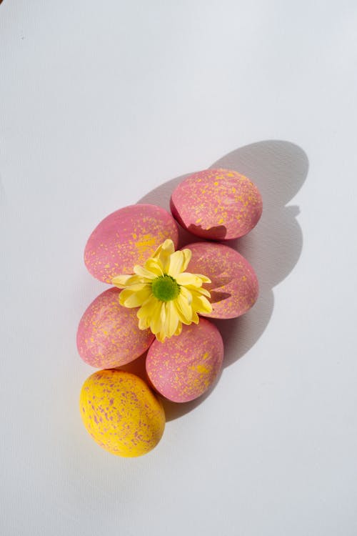 Foto profissional grátis de amarelo, cor-de-rosa, cores pastéis