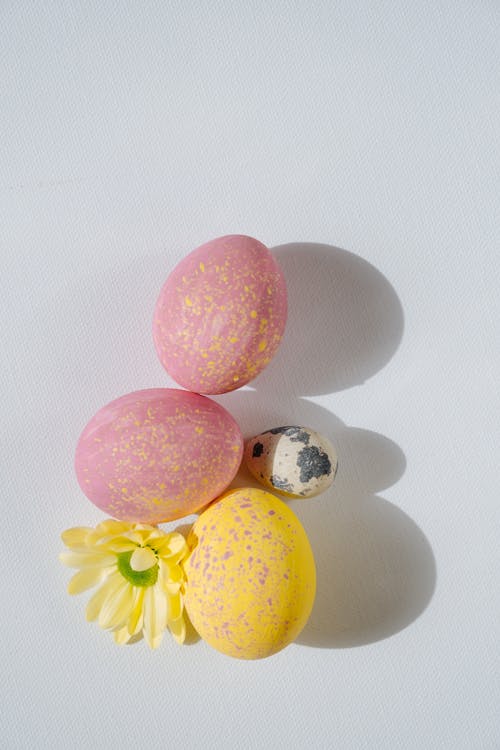 Pink and Yellow Easter Eggs and a Flower