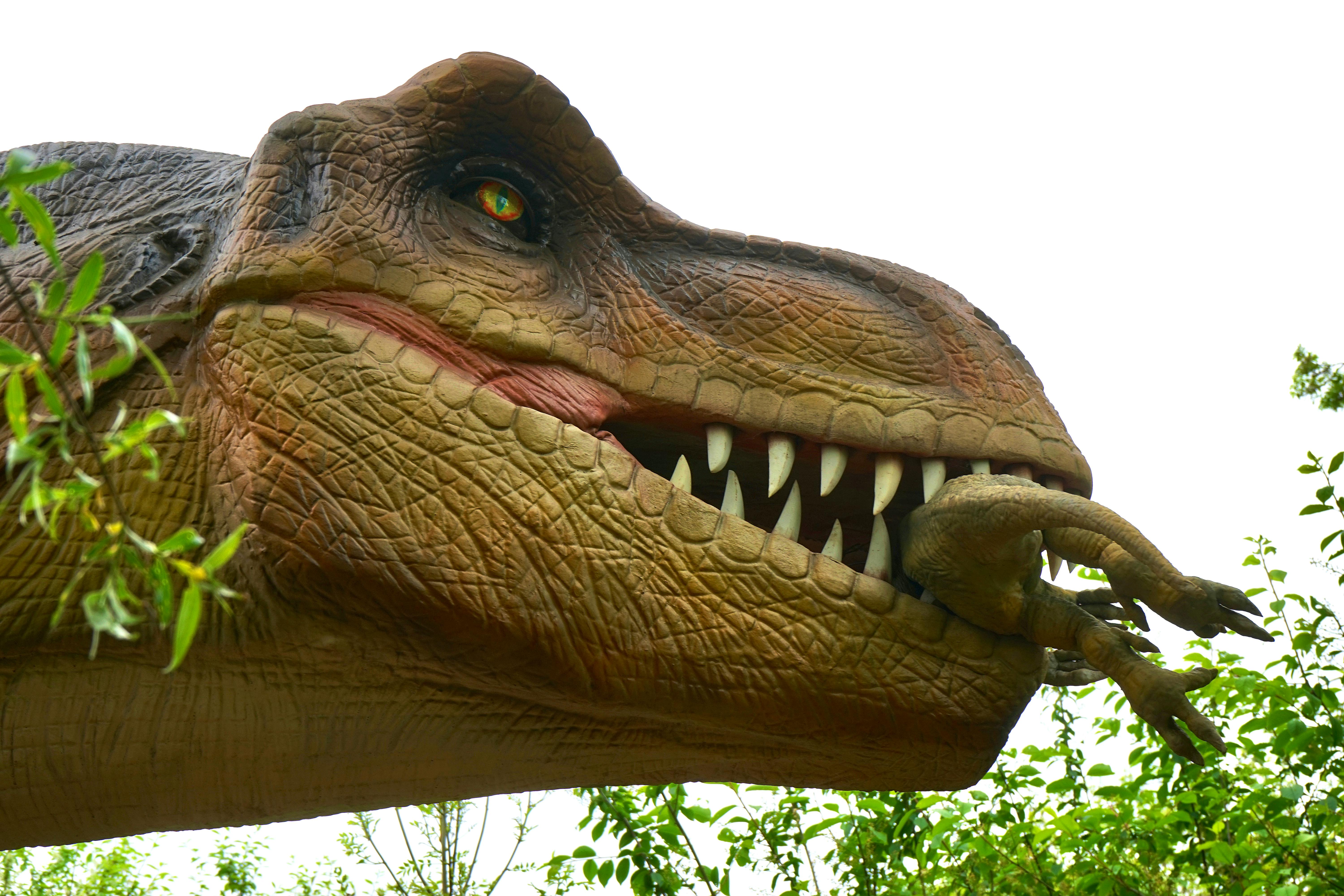 赤ちゃん恐竜を食べる恐竜のローアングル写真 無料の写真素材