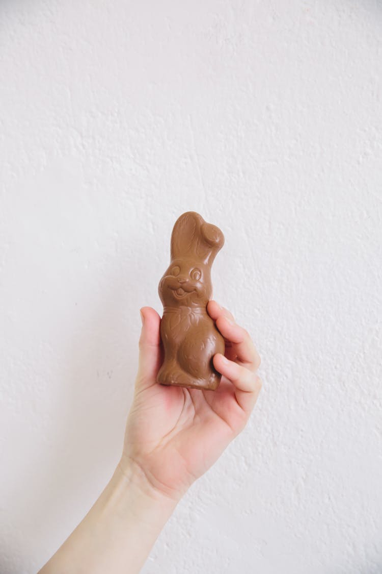 Hand Holding A Chocolate Bunny