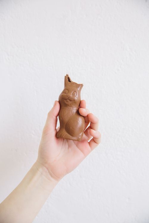 Free A close-up of a hand holding a bitten chocolate bunny against a white backdrop. Stock Photo