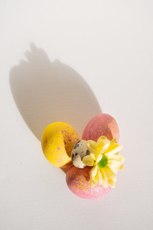 Beyaz arka plan, bıldırcın yumurtası, çiçek içeren Ücretsiz stok fotoğraf