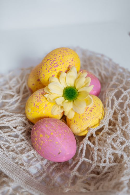 Free Vibrant pink and yellow Easter eggs with a daisy flower on a textured white background. Stock Photo